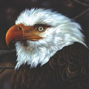 Hoes van The Hawk Is Howling