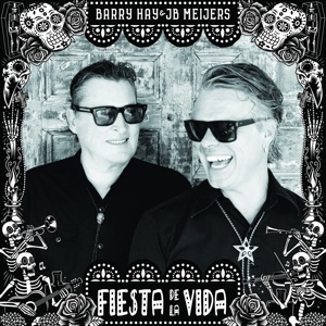 Cover of Fiesta De La Vida