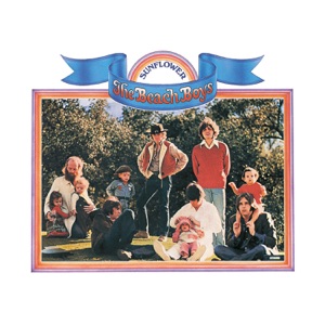 Cover of Sunflower