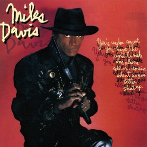 Cover of You’re Under Arrest