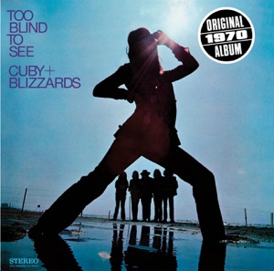 Cover of Too Blind to See