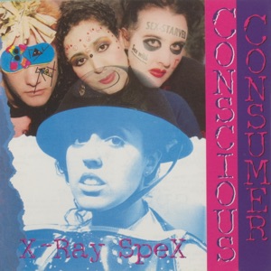 Cover of Conscious Consumer