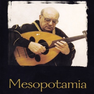 Hoes van Mesopotamia