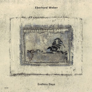Cover of Endless Days