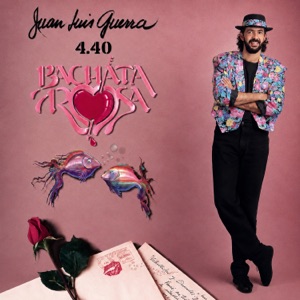 Hoes van Bachata rosa