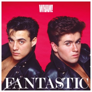 Cover of Fantastic