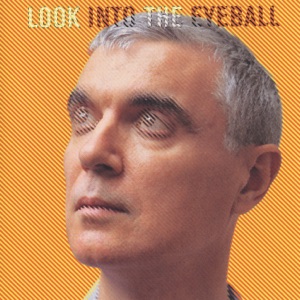 Cover of Look Into the Eyeball