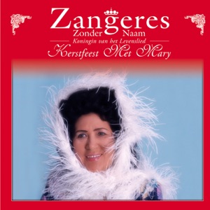 Hoes van Kerstfeest met Mary