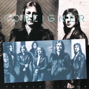 Cover of Double Vision