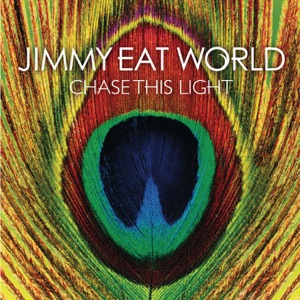Cover of Chase This Light