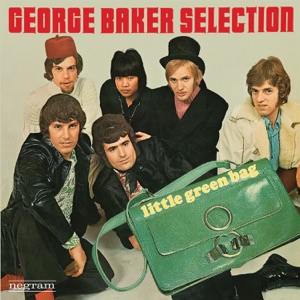 Cover of Little Green Bag