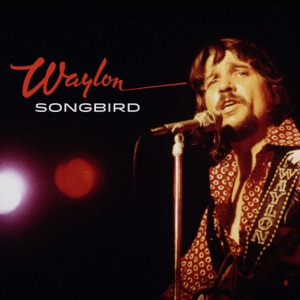 Hoes van Songbird