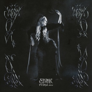 Cover of Tungl
