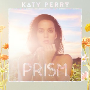 Hoes van PRISM