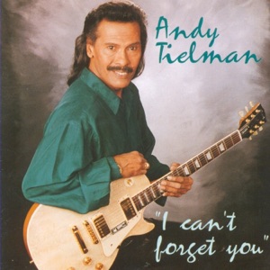 Cover of I Can't Forget You