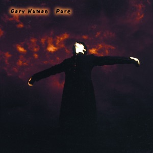 Cover of Pure