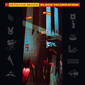 Hoes van Black Celebration