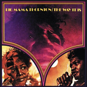Cover of The Way It Is