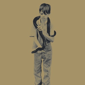 Cover of Riot City Blues