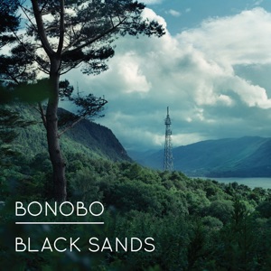 Cover of Black Sands