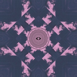 Cover of Flume