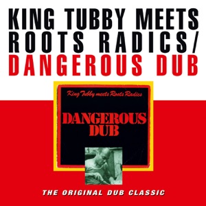 Cover of Dangerous Dub