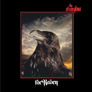 Cover of The Raven