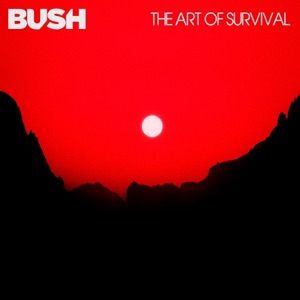 Cover of The Art of Survival