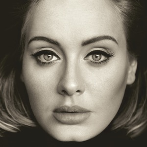 Cover of 25