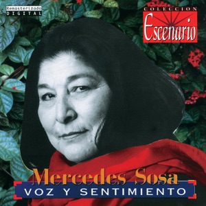 Hoes van Voz y sentimiento