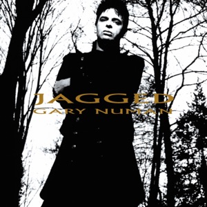 Cover of Jagged