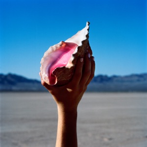 Cover of Wonderful Wonderful