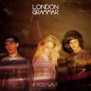 Cover of If You Wait
