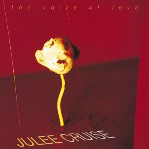 Hoes van The Voice of Love