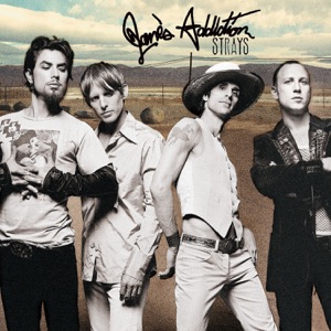 Cover of Strays