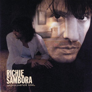Cover of Undiscovered Soul