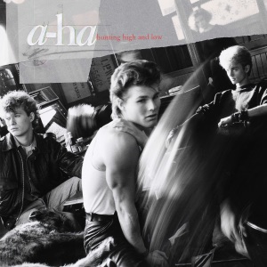 Cover of Hunting High and Low