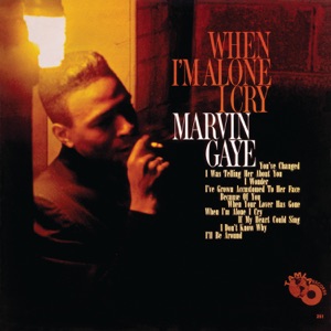 Cover of When I’m Alone I Cry
