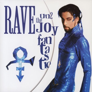 Hoes van Rave Un2 the Joy Fantastic
