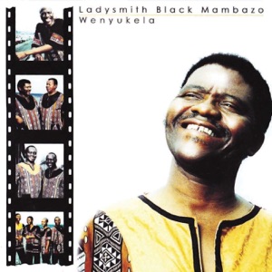 Cover of Wenyukela