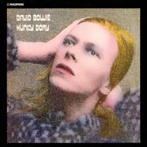 Hoes van Hunky Dory