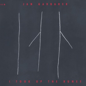 Cover of I Took Up the Runes