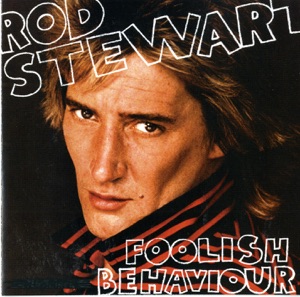 Cover of Foolish Behaviour