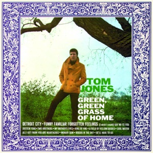 Cover of Green, Green Grass of Home
