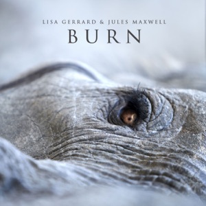 Cover of Burn