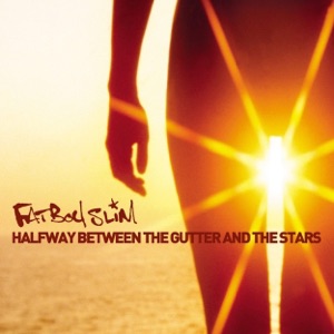 Cover of Halfway Between the Gutter and the Stars