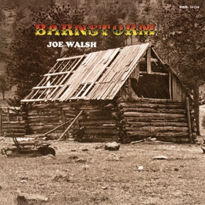 Cover of Barnstorm