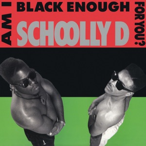 Cover of Am I Black Enough for You?