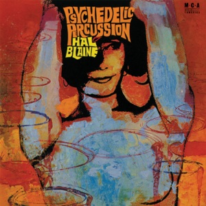 Hoes van Psychedelic Percussion