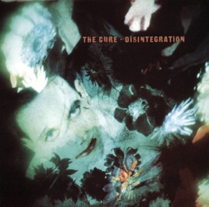 Cover of Disintegration